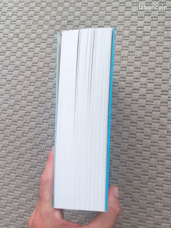 Livre d'art : Les 1001 Tableaux qu'il faut avoir vus dans sa vie (image 6)