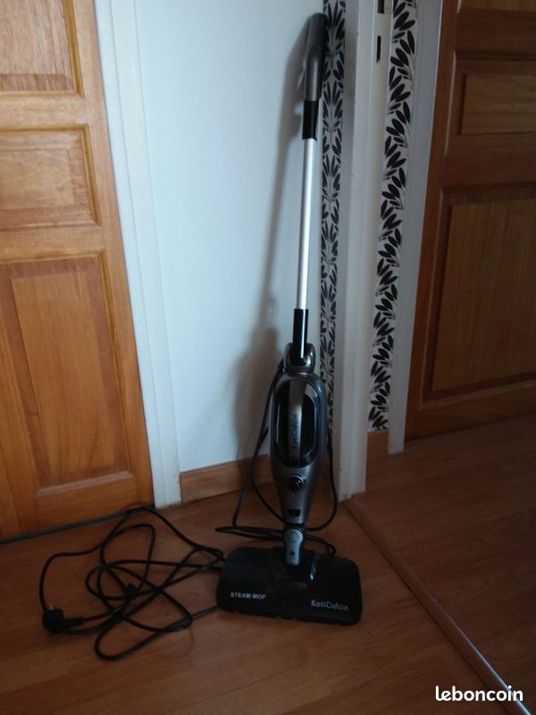 Nettoyeur vapeur (image 1)