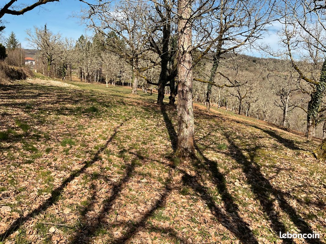 Terrain constructible · à Esclauzels · 50 000 €