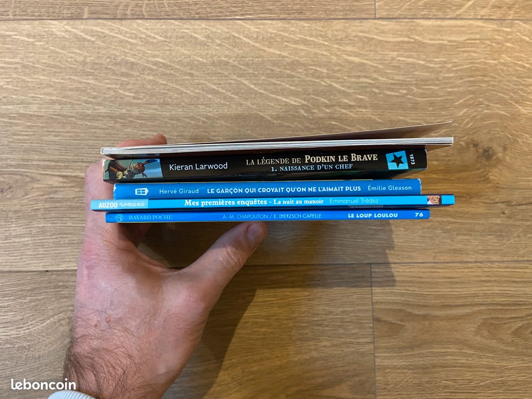 Vends divers livres pour enfants (image 3)