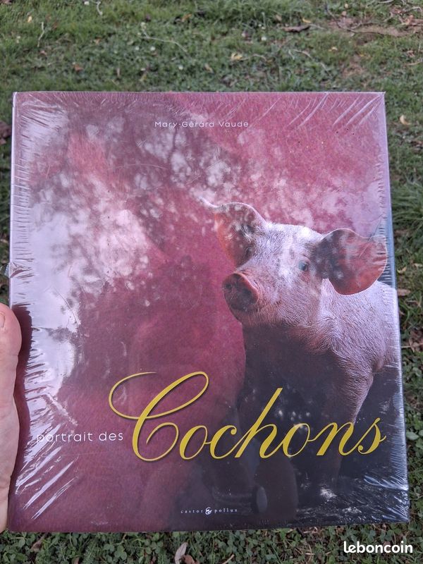 Portrait des cochons (image 2)
