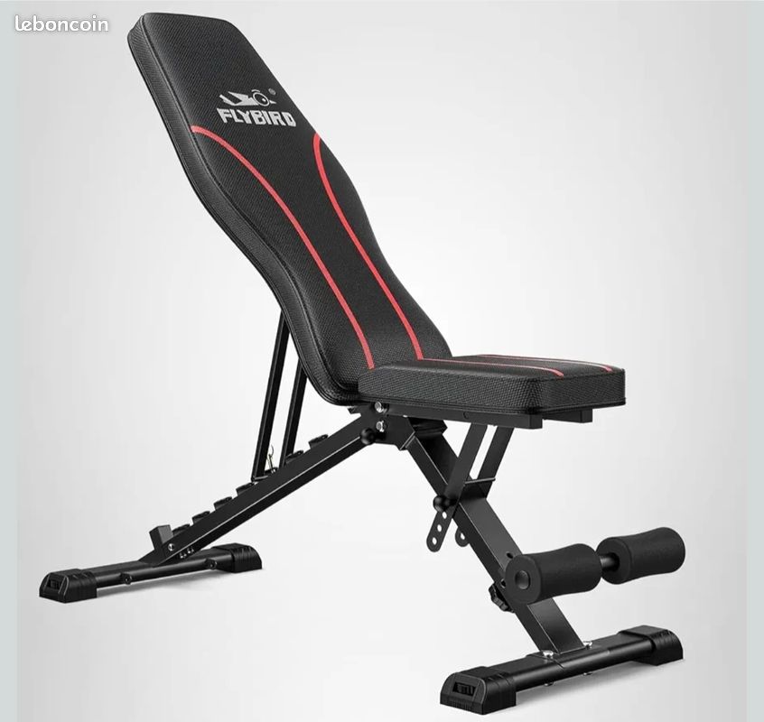 Banc De Musculation Réglable Rockvale – 9 Positions, Incliné/Plat/Décliné, Pliable, Charge Max 300 Kg, Compact Pour Domicile