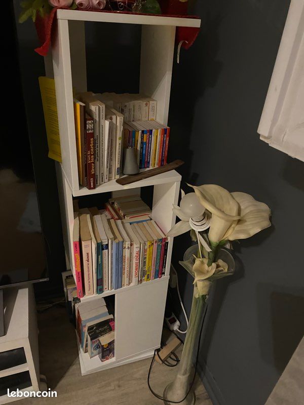 Meuble salon (image 2)