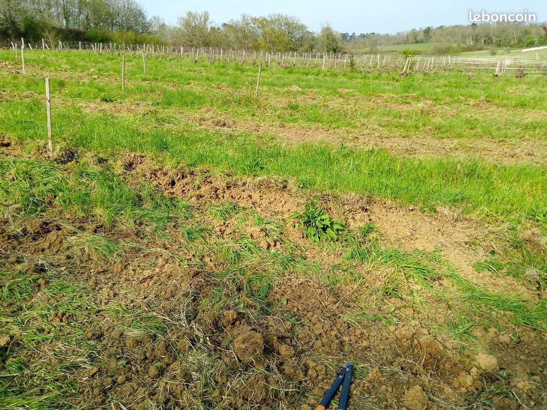 Parcelle agricole avec vignes · à Comps · 15 500 €