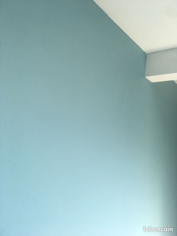 Peinture Levismur 5L bleue clair neuf (image 1)