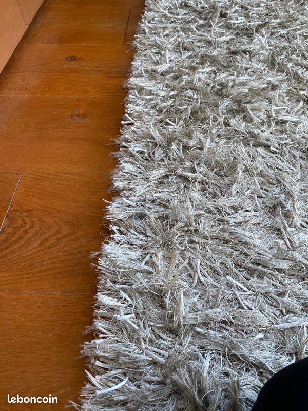 Tapis roche bobois (image 3)