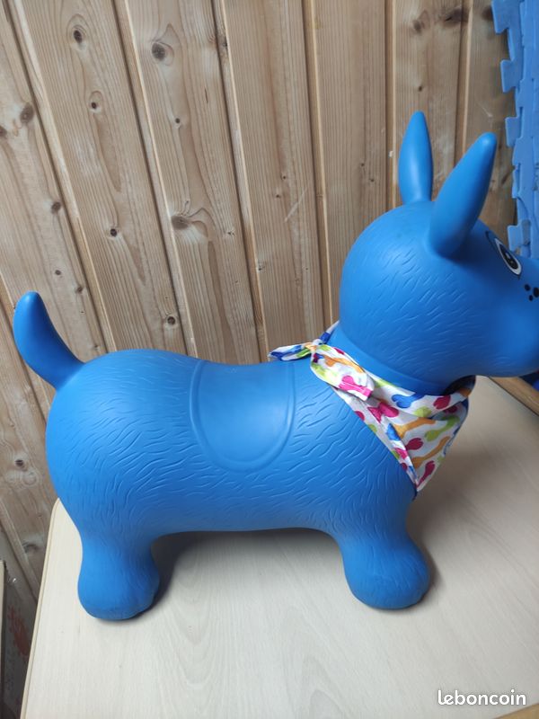 Chien sauteur Ludi (image 3)