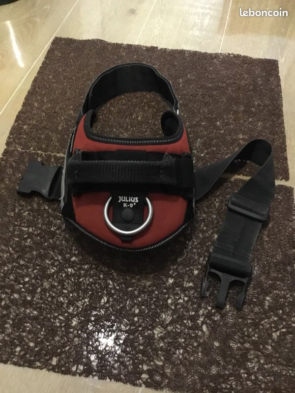 Harnais julius k9 idc power rouge (image 1)