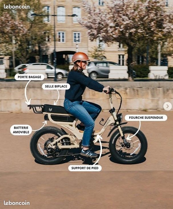 Vélo Électrique Cargo Biplace Fatstreet X Trail cadre bas – inckus GPS ANTI VOL (image 1)