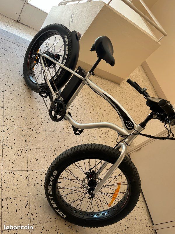 Le vélo électrique (image 4)