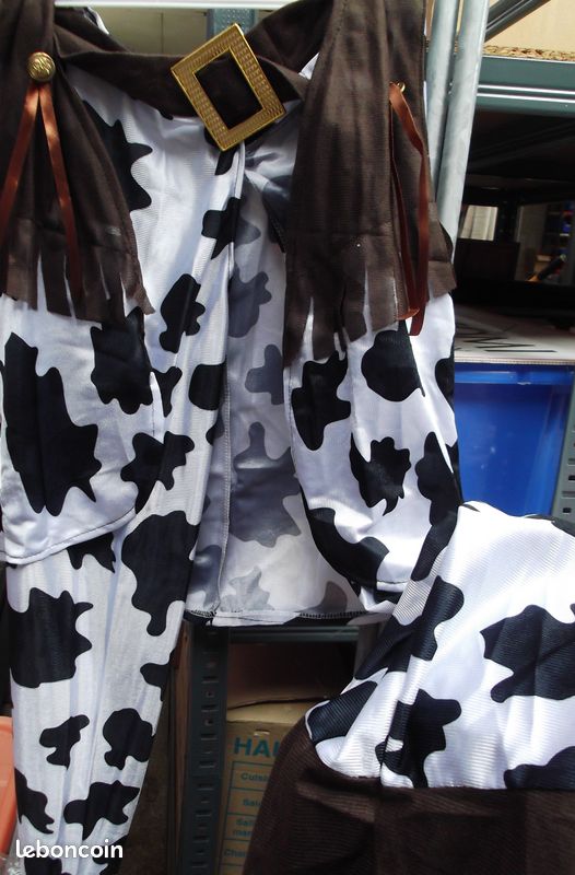Déguisement cow-boy (image 2)