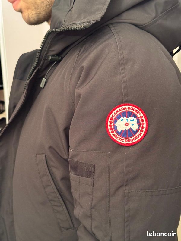 Canada goose (image 1)