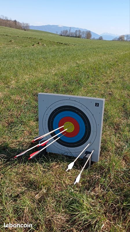 Arc traditionnel avec kit complet - Flèches, housse et cible (image 6)