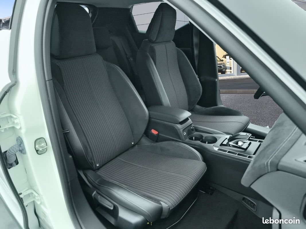 DS DS 3 E-Tense Performance Line+ (image 14)