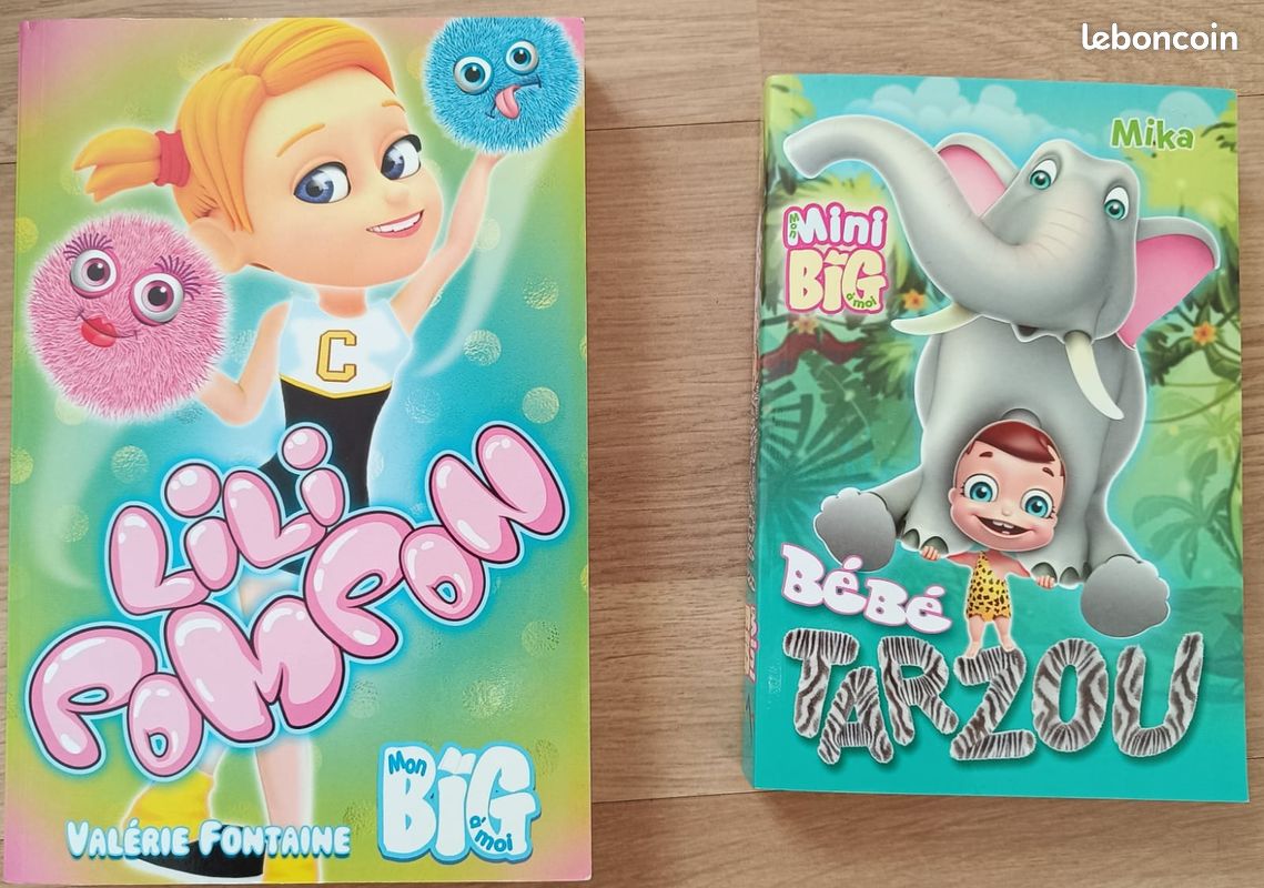 Livres mon mini big à moi (image 2)