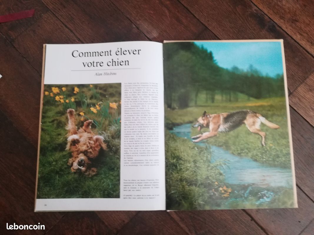 Livre sur les chiens (image 3)