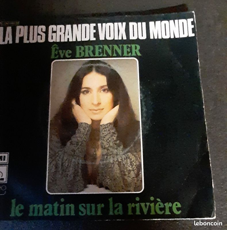 Disque vinyle (image 1)
