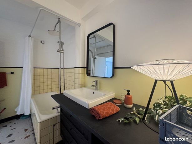 Appt de 37 m² — dernier étage lumineux, rénové — Quai du Wault — 9