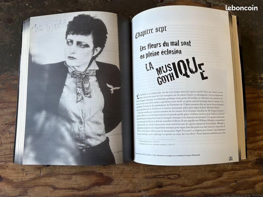 GOTHIC - La culture des ténèbres de Gavin Baddeley (image 4)