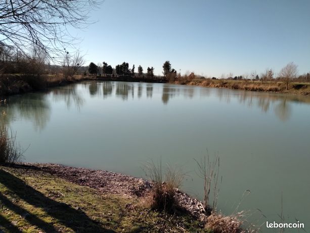 Très bel étang à Ingrandes sur Vienne