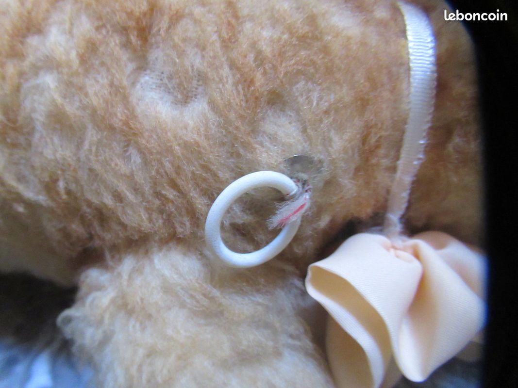 Ancien ours en peluche (image 8)