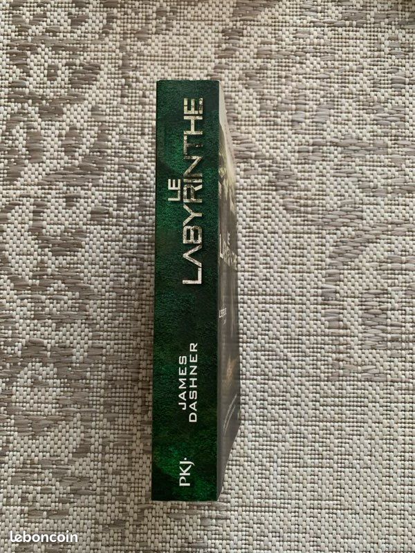 Le Labyrinthe de James Dashner (image 2)