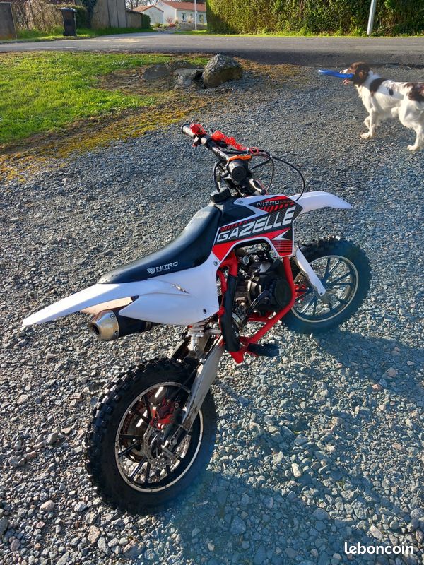 Moto enfant Gazelle (image 1)