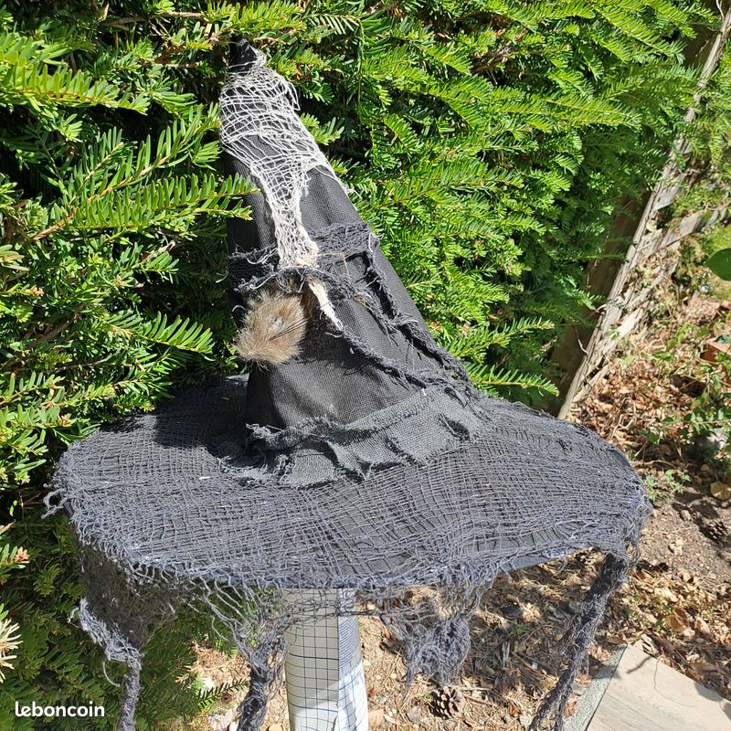 Chapeau d'Halloween (image 2)