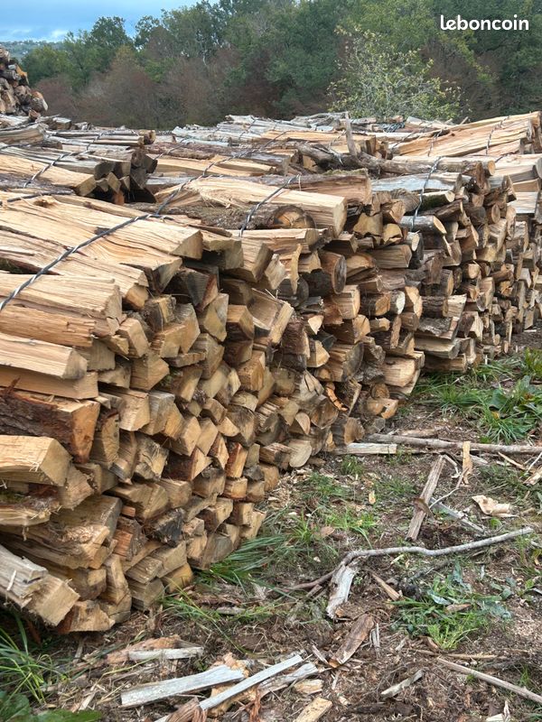 Bois de chauffage , chêne, charmes, être (image 1)
