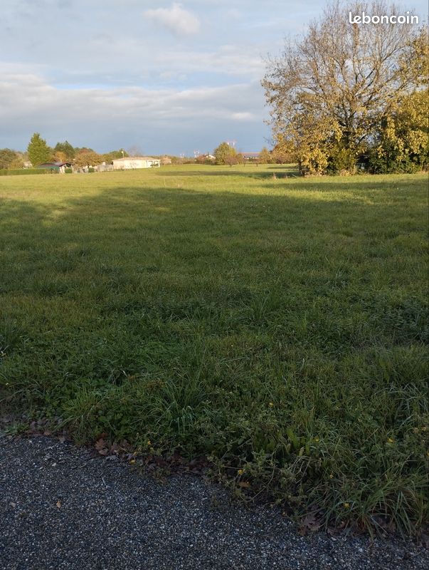 Terrain constructible · à Montauban · 117 000 €