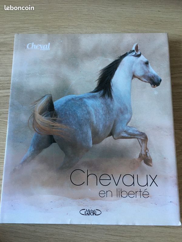 Chevaux en liberté (image 1)