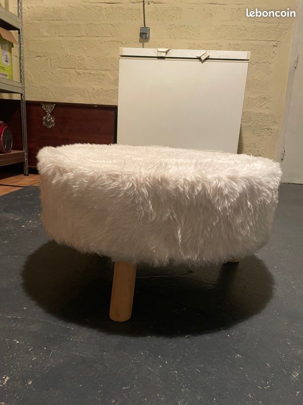 Table basse poilu (image 2)