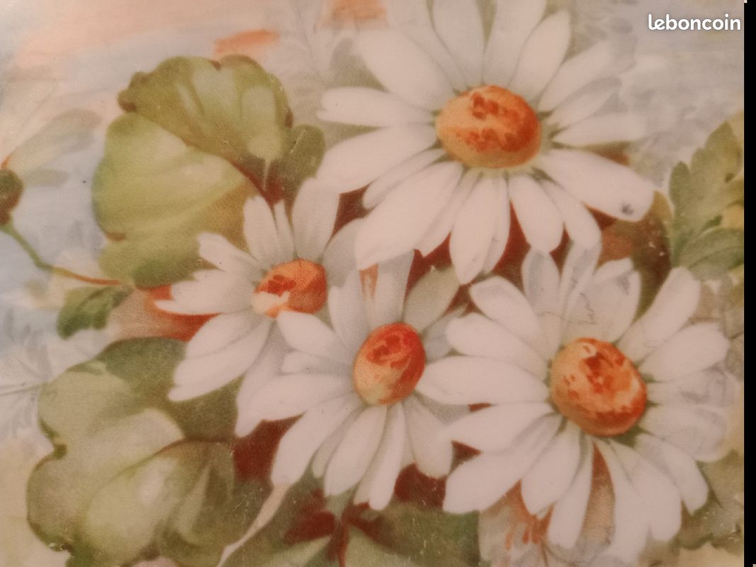 Superbes assiettes fleurie Limoges (image 13)