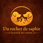 Élevage Du Rocher de Saphir