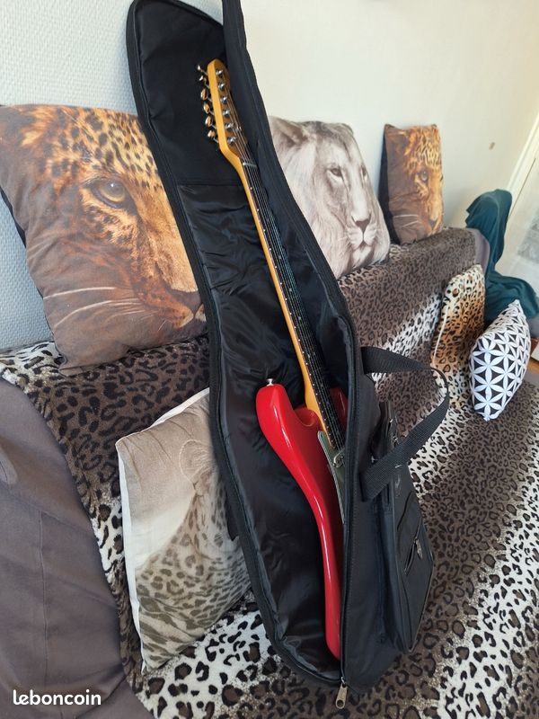 Fender American Professional Classic Strat RW uniquement face à face région courbevoie la défense Hauts-de-Seine 92 paiement en espèces ou virement bancaire pas d'échange possible prix fixe (image 8)