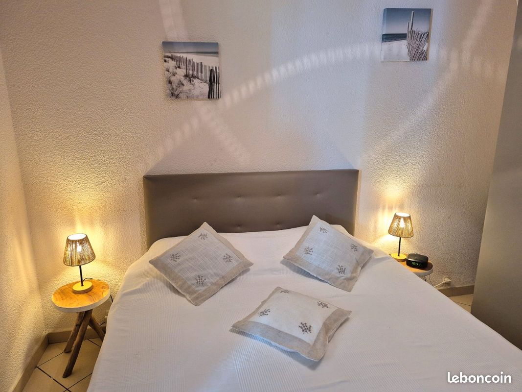 Appartement plein pied avec grande cour privative végétalisée au calme et au centre des Saintes (image 6)