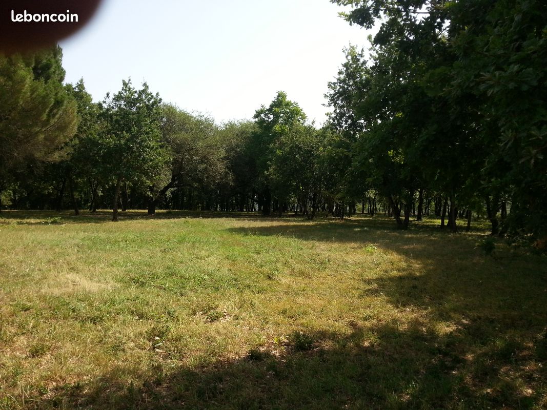 Terrain plat a construire a vendre (image 2)