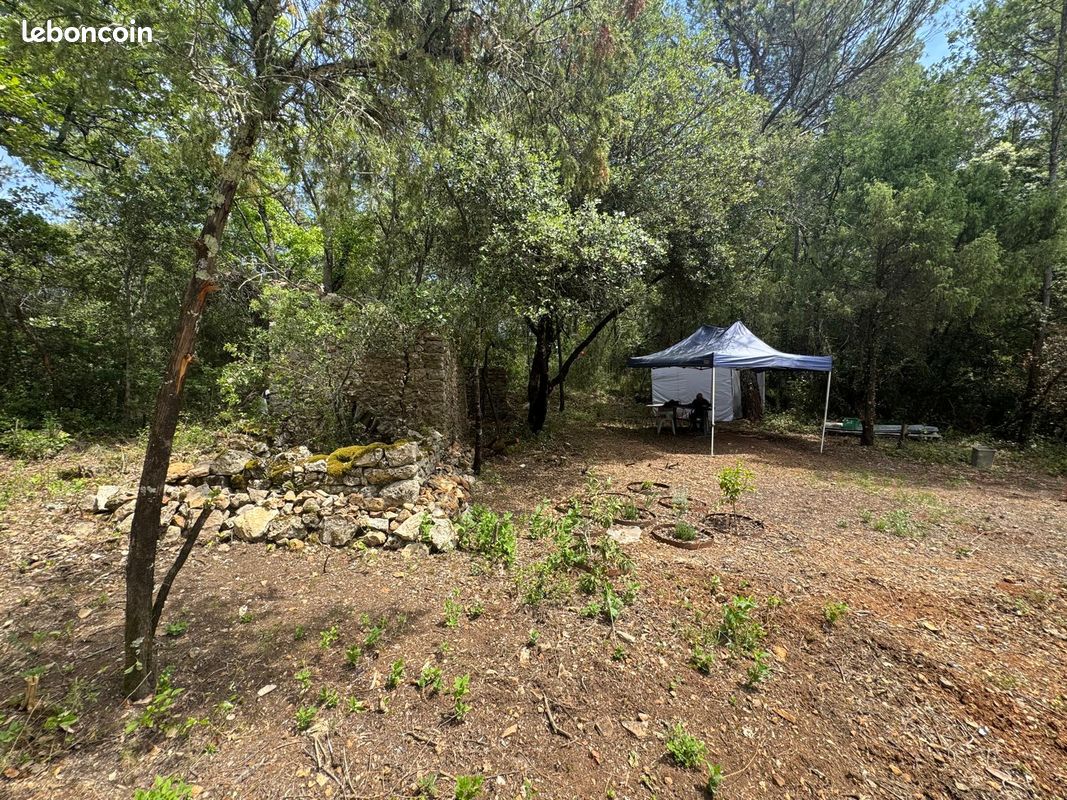 Deux parcelles de nature verger et taillis a lorgues · 38 000 €