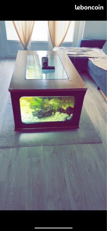 Table aquarium (image 1)