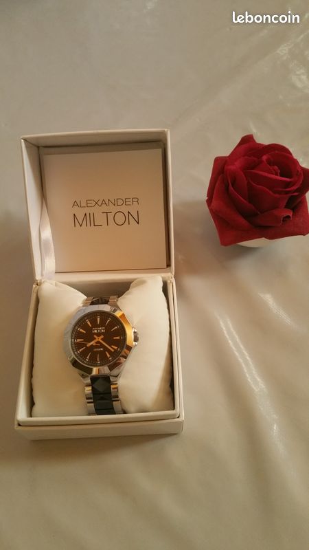 Vends montre alexander milton pour homme (image 1)