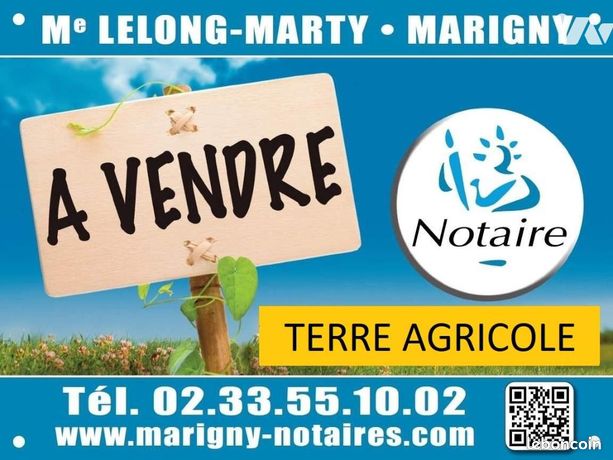 Terrain 66861 m² MONTREUIL SUR LOZON