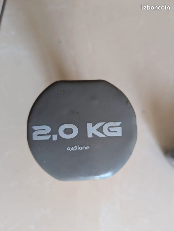 2 poids 2kg gris (image 2)