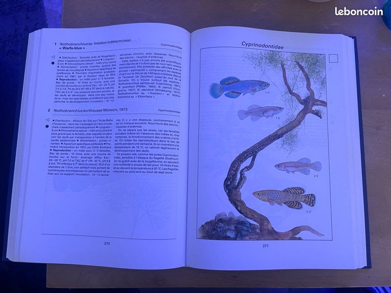 La Grande Encyclopédie des poissons d’aquarium (image 4)