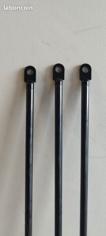 Vérin à gaz professionnel Berthold Marx 58 cm (Ref: ST 2500600VD14) (image 1)