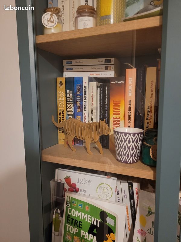 Bibliothèque ikea billy bleue (image 5)