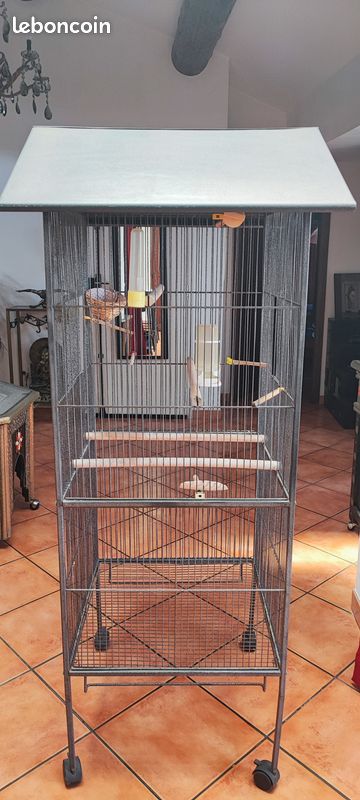 Cage à oiseaux (image 2)