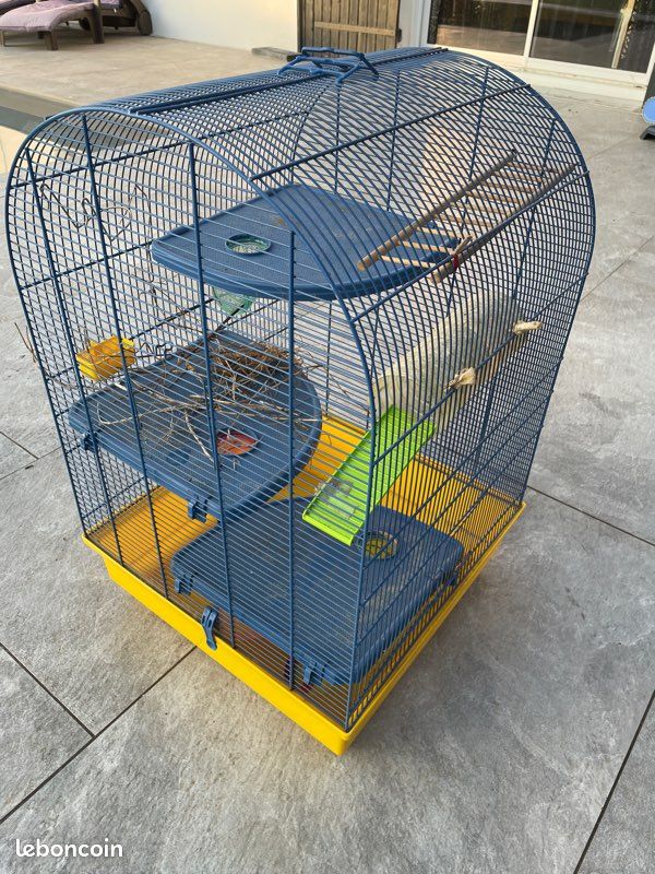 Cage à hamster (image 1)