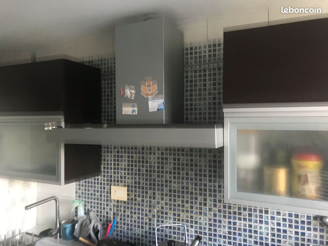 6 meubles haut et bas de cuisine + 1 grand évier IKEA +1 hotte de cuisine (image 2)