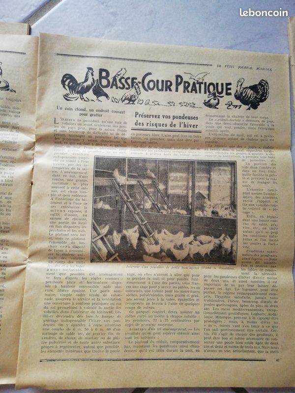 Le petit journal agricole 1928 (image 5)