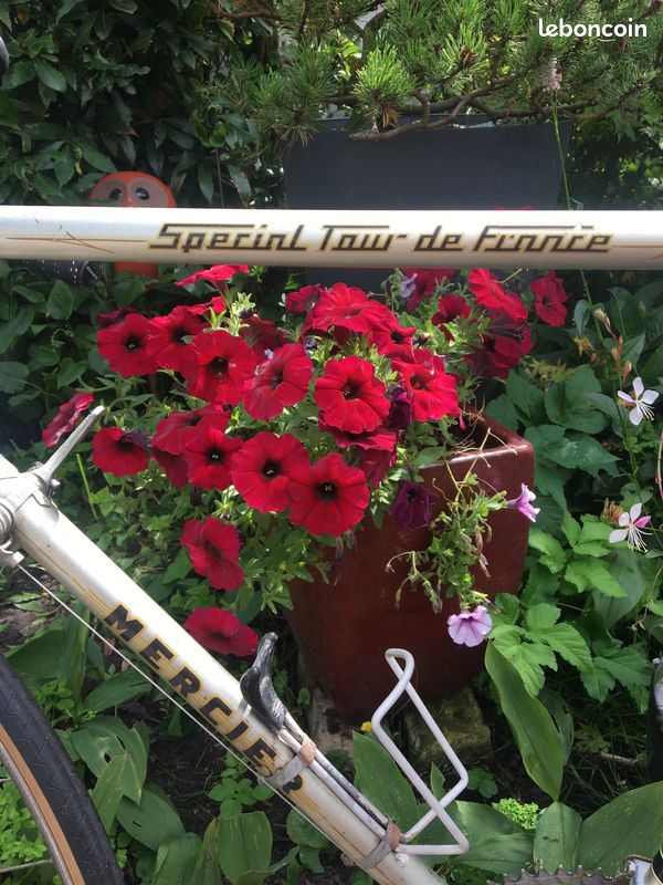 Vélo mercier (image 2)
